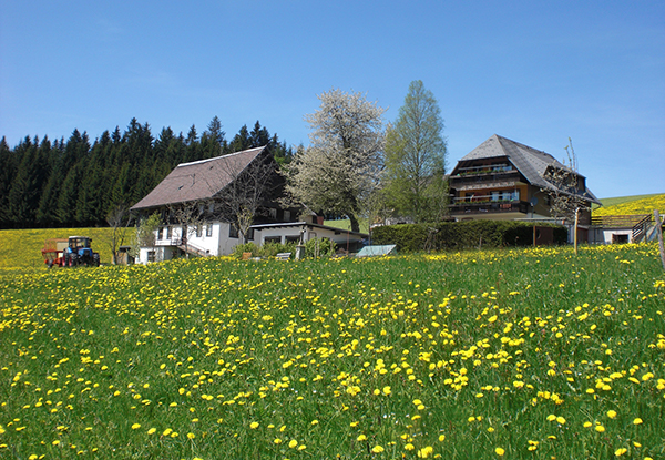 lorenzenhaeusle_aussenansicht